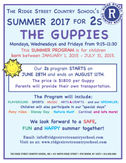 Camp Guppies Flyer - Ridge Street Country School
