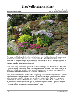 Hillside Gardening