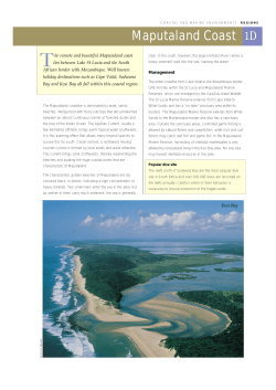 Maputaland Coast - Two Oceans Aquarium