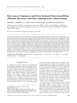 New taxa of Japanese and New Zealand Eurystomellidae (Phylum