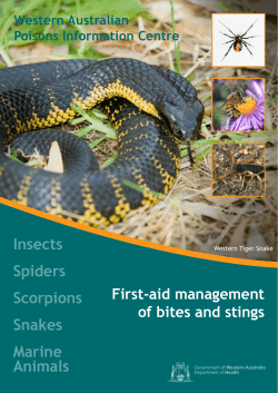 Bites and Stings Brochure click here.