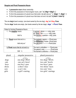 07 Possessive Nouns