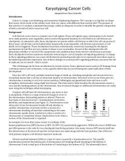 Karyotyping Cancer Cells