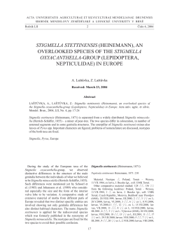 STIGMELLA STETTINENSIS - Acta Universitatis Agriculturae et