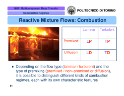 Reactive Mixture Flows: Combustion