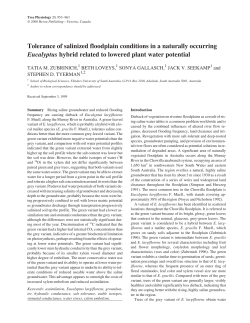 Tolerance of salinized floodplain conditions in a naturally occurring