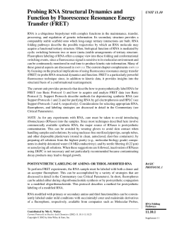 Probing RNA Structural Dynamics and Function by Fluorescence