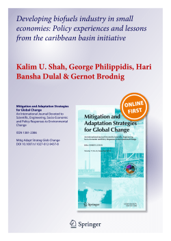 Developing biofuels industry in small economies