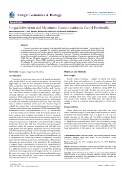 Fungal Infestation and Mycotoxin Contamination in Camel Feedstuffs