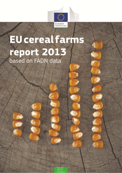 EU cereal farms report 2013 - European Commission