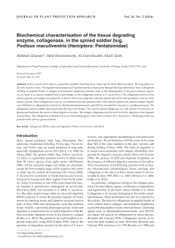 Biochemical characterisation of the tissue degrading enzyme