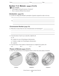 Chromosome Number (page 275)