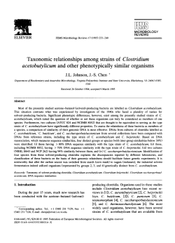 Taxonomic relationships among strains of Clostridium
