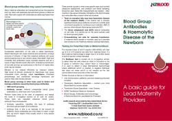 A basic guide for Lead Maternity Providers