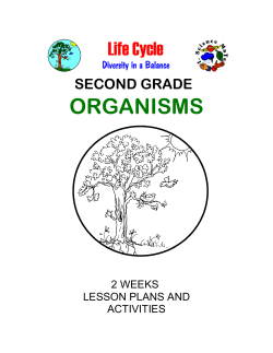 SECOND GRADE ORGANISMS