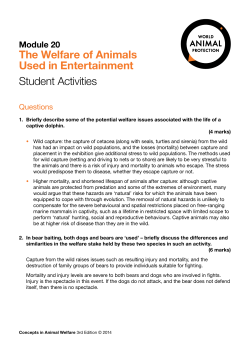 here - Global Animal Network