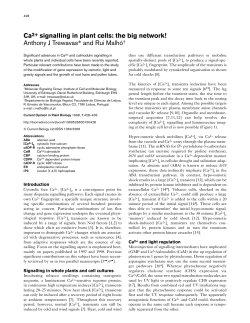 Ca2+ signalling in plant cells: the big network! Anthony J Trewavas