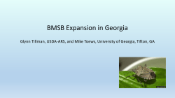 BMSB Expansion in Georgia