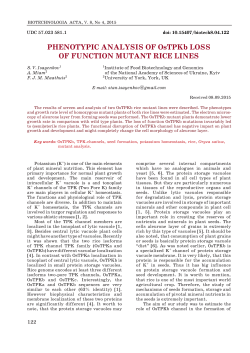 PHENOTYPIC ANALYSIS OF OsTPKb LOSS OF FUNCTION