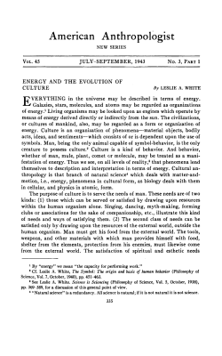 energy and the evolution of culture - Deep Blue