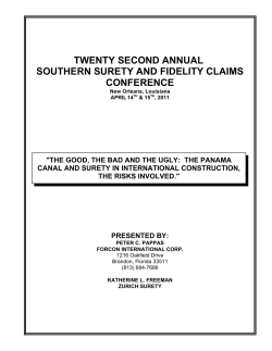 the good, the bad and the ugly: the panama canal and surety in