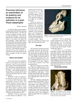 Proconsul africanus: an examination of its anatomy and evidence for