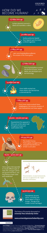 human evolution graphic final