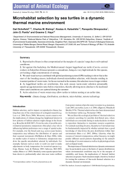 Microhabitat selection by sea turtles in a dynamic