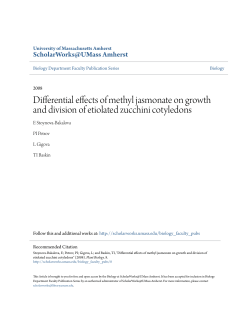 Differential effects of methyl jasmonate on growth and division of