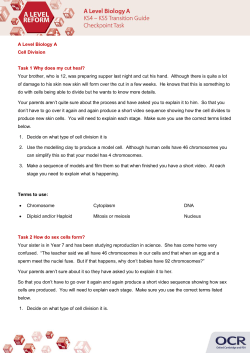 Biology Transition Work