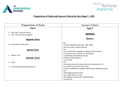 Programmes of Study Success Criteria