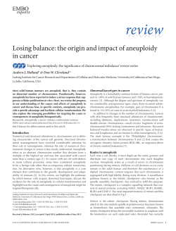 review - Holland Lab