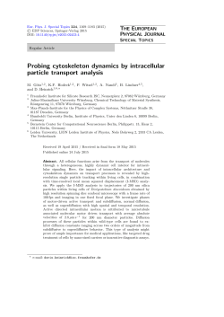 Probing cytoskeleton dynamics by intracellular particle transport