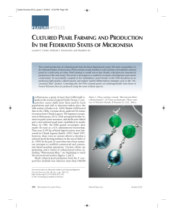 Cultured Pearl Farming and Production in the Federated States of