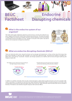 Endocrine Disrupting Chemicals (EDCs) - All you need to