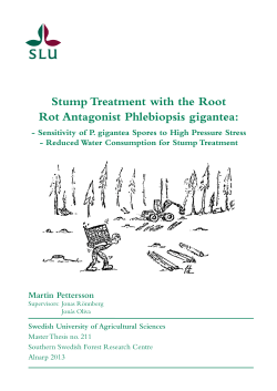 Stump Treatment with the Root Rot Antagonist Phlebiopsis