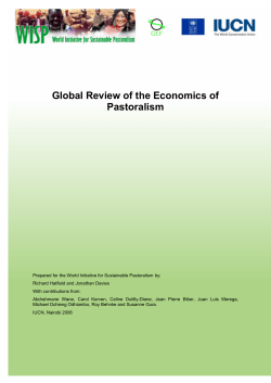 Global Review of the Economics of Pastoralism