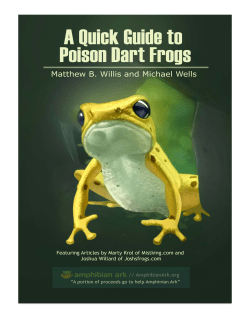 Poison Dart Frogs are known for the vast variation of colors and their