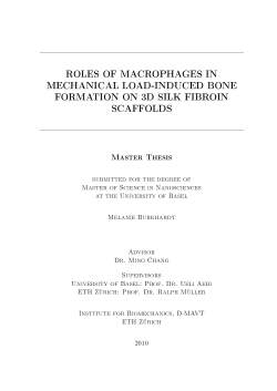 Melanie Burkhardt - Swiss Nanoscience Institute