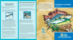 FL-Seafood.com