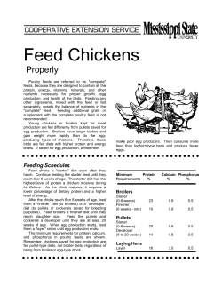 Feed Chickens Properly - Cornell Cooperative Extension of