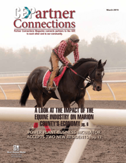 A Look At the ImpAct of the equIne Industry on mArIon