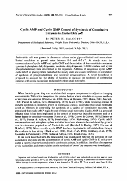 Enzymes in Escherichia coli