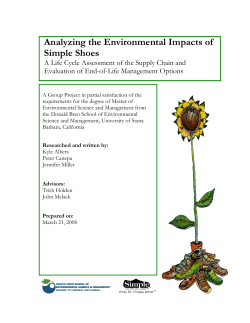 Analyzing The Environmental Impacts Of Simple Shoes