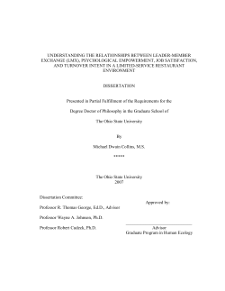 UNDERSTANDING THE RELATIONSHIPS BETWEEN LEADER