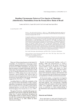 (Siluriformes, Pimelodidae) from the Parana River Basin of
