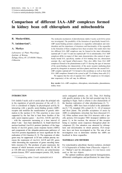 Comparison of different IAA&ndash;ABP complexes formed