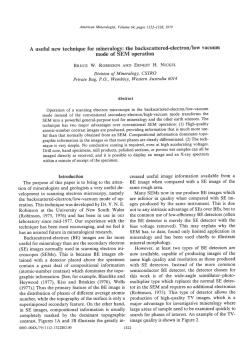 the backscattered-electron/low Yacuum mode of SEM