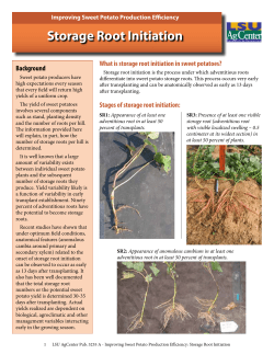 Storage Root Initiation