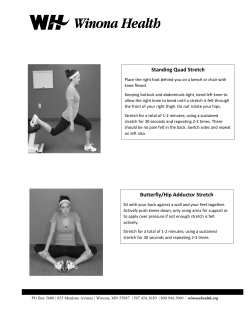 Standing Quad Stretch Butterfly/Hip Adductor
